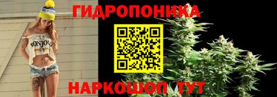 молекула духа Камышлов