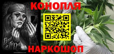 ECSTASY Канаш
